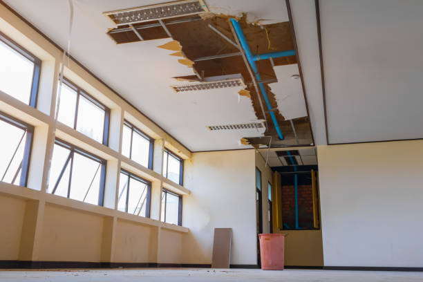 Best Flood damage cleanup  in Caruthersville, MO