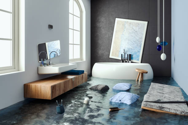 Best Professional water damage repair  in Caruthersville, MO