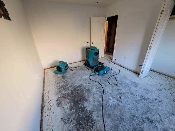 Best Residential water damage restoration  in Caruthersville, MO