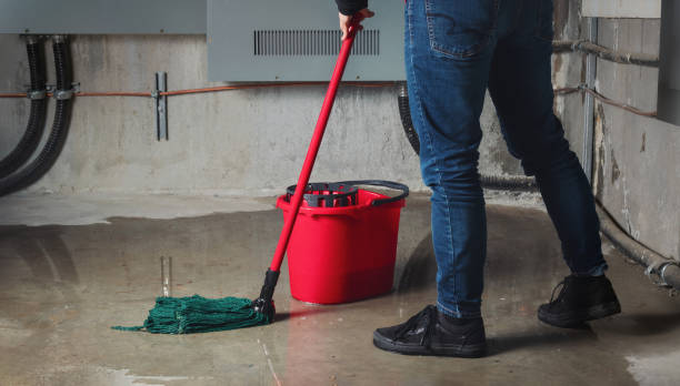 Best Water damage cleanup near me  in Caruthersville, MO