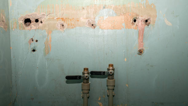 Professional Water damage restoration in Caruthersville, MO