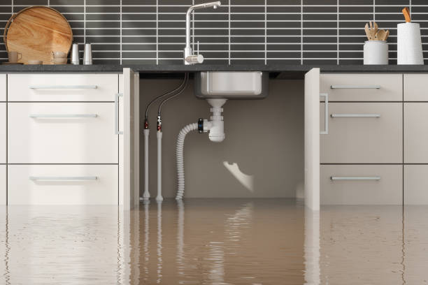 Best Basement water damage restoration  in Caruthersville, MO