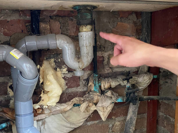 Best Local water damage restoration  in Caruthersville, MO