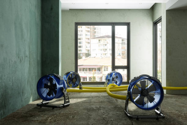 Best Water damage restoration cost  in Caruthersville, MO