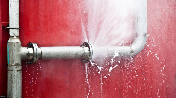 Best Flood damage cleanup  in Caruthersville, MO